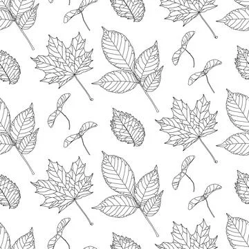 Hand-drawn pattern in black line graphics with various types of leaves on a Stock Illustration