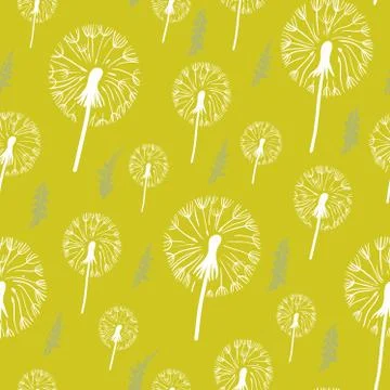 Hand drawn pattern of dandelion on a yellow background. Stock Illustration