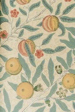 Hand drawn pattern of fig tree. Beautiful floral design elements. 스톡 사진