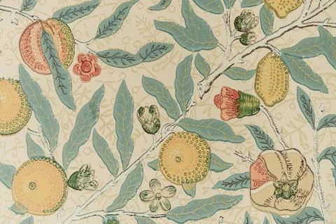 Hand drawn pattern of fig tree. Beautiful floral design elements. 스톡 사진