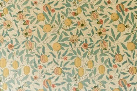 Hand drawn pattern of fig tree. Beautiful floral design elements. 스톡 사진