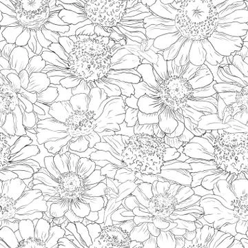 Hand drawn pattern floral background. Flower black line on white. Packaging Stock Illustration
