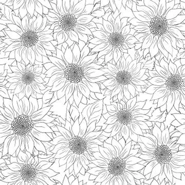 Hand drawn pattern sunflowers background. Flower black white. Packaging produ Illustrazione stock