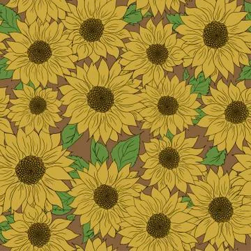 Hand drawn pattern sunflowers background. Flower yellow brown. Packaging Stock Illustration
