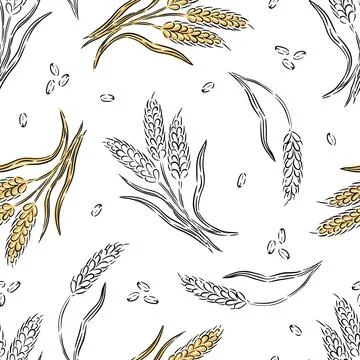 Hand drawn pattern of wheat ears and seeds on a white background Illustrazione stock