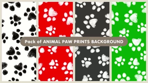 Hand-Drawn Paw Print Pattern Background Set – 4 Colors (6 seconds loop) 動画素材 310352734