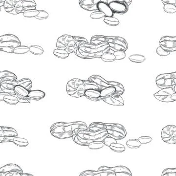 Hand drawn peanuts. Vector  pattern. Stock Illustration