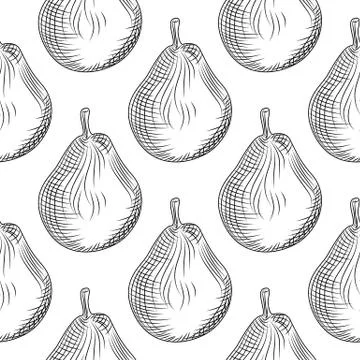 Hand drawn pears seamless pattern on white background. Stock Illustration