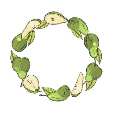 Hand drawn pears. Vector  illustration. Stock Illustration