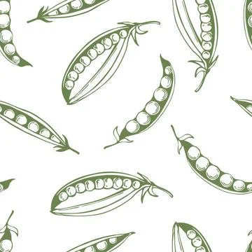 Hand drawn peas.  Vector  seamless pattern. Illustrazione stock