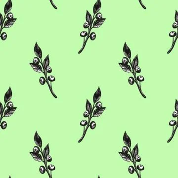 Hand drawn with pen set pattern frame with bilberries. Forest berry. Eco food Stock-Illustration