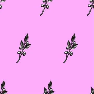 Hand drawn with pen set pattern frame with bilberries. Forest berry. Eco food Stock Illustration