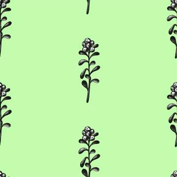 Hand drawn with pen set pattern frame with bilberries. Forest berry. Eco food Stock Illustration