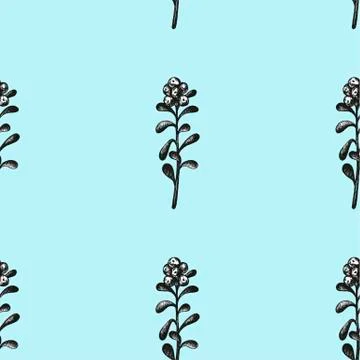 Hand drawn with pen set pattern frame with bilberries. Forest berry. Eco food Illustrazione stock