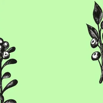 Hand drawn with pen set pattern frame with bilberries. Forest berry. Eco food Stock Illustration