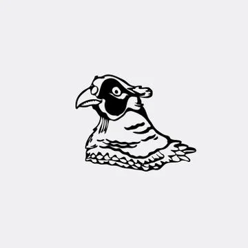 Hand-drawn pencil graphics, bird, pheasant. Engraving, stencil style. Stock Illustration