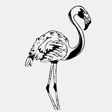 Hand-drawn pencil graphics, bird, flamingo. Engraving, stencil style. Stock Illustration