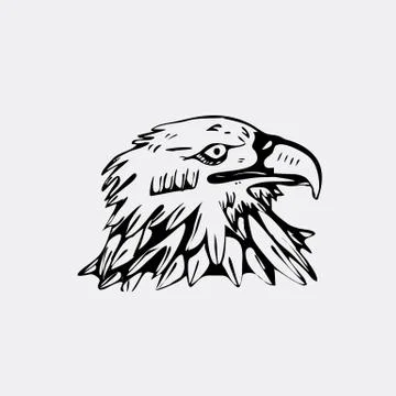 Hand-drawn pencil graphics, bird, eagle, hawk, kite, vulture. Stencil style Stock Illustration