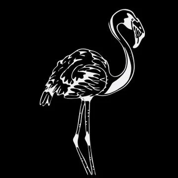 Hand-drawn pencil graphics, bird, flamingo. Engraving, stencil style. Stock Illustration