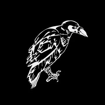 Hand-drawn pencil graphics, bird, raven, crow, rook. Engraving, stencil style Stock Illustration