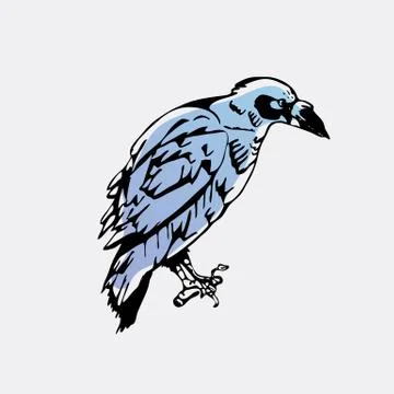 Hand-drawn pencil graphics, bird, raven, crow, rook. Engraving, stencil style Stock Illustration
