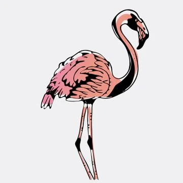 Hand-drawn pencil graphics, bird, flamingo. Engraving, stencil style. Stock Illustration
