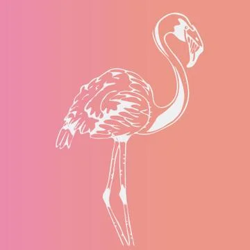 Hand-drawn pencil graphics, bird, flamingo. Engraving, stencil style. Illustrazione stock