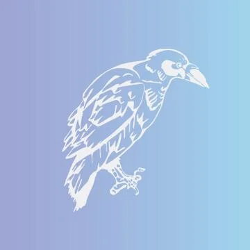 Hand-drawn pencil graphics, bird, raven, crow, rook. Engraving, stencil style Stock Illustration