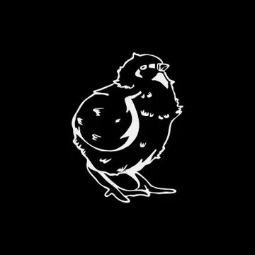Hand-drawn pencil graphics, chicken, chick. Engraving, stencil style. Stock Illustration