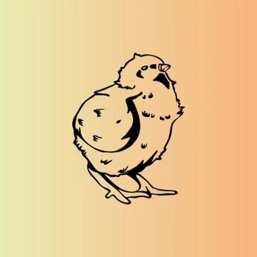 Hand-drawn pencil graphics, chicken, chick. Engraving, stencil style. Stock Illustration