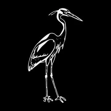 Hand-drawn pencil graphics, heron. Engraving, stencil style. Stock Illustration