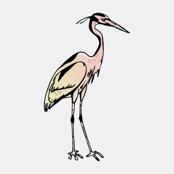 Hand-drawn pencil graphics, heron. Engraving, stencil style. Stock Illustration