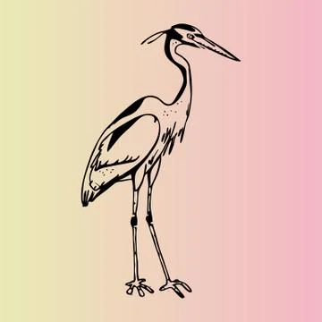 Hand-drawn pencil graphics, heron. Engraving, stencil style. Stock Illustration