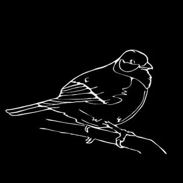 Hand-drawn pencil graphics, small bird. Engraving, stencil style. Stock Illustration