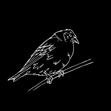 Hand-drawn pencil graphics, small bird. Engraving, stencil style. Stock Illustration