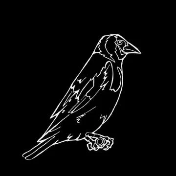 Hand-drawn pencil graphics, small bird. Engraving, stencil style. Stock Illustration