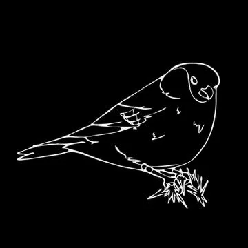 Hand-drawn pencil graphics, small bird. Engraving, stencil style. Stock Illustration