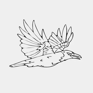 Hand-drawn pencil graphics, small bird Stock Illustration