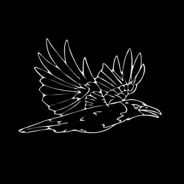 Hand-drawn pencil graphics, small bird Stock Illustration