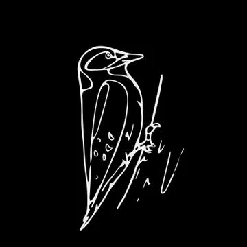Hand-drawn pencil graphics, small bird, starling, woodpecker Stock Illustration