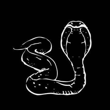 Hand-drawn pencil graphics, snake, cobra. Stock Illustration