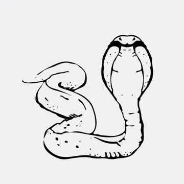 Hand-drawn pencil graphics, snake, cobra. Stock Illustration
