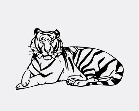 Hand-drawn pencil graphics, tiger head. Stock Illustration