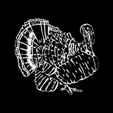 Hand-drawn pencil graphics, turkey. Engraving, stencil style. Stock Illustration