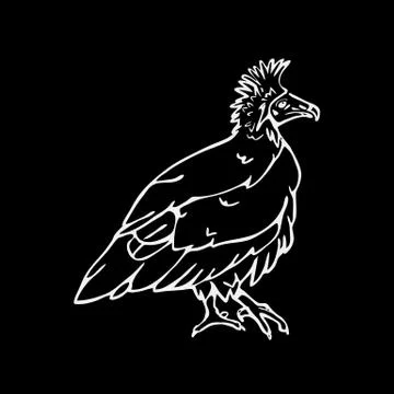 Hand-drawn pencil graphics, vulture, eagle, osprey, falcon, hawk, scavenger. Illustrazione stock
