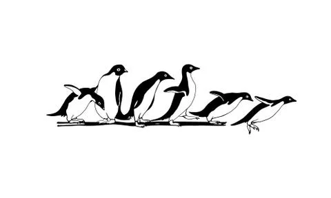 Hand drawn penguins Illustrazione stock