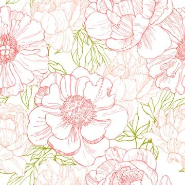 Hand drawn peonies. Vector seamless  pattern. Stock Illustration