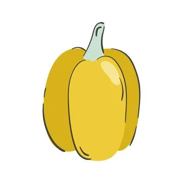 Hand drawn pepper isolated on a white background. Vector illustration. Colo.. Stock Illustration