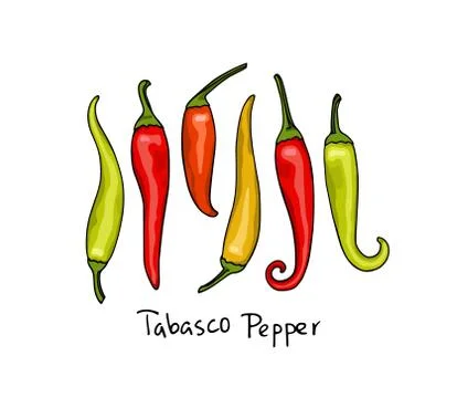 Hand drawn peppers Stock Illustration