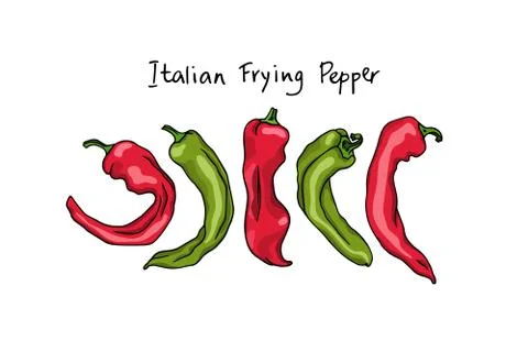 Hand drawn peppers Stock Illustration